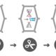 Genome Editing Grundschema 2