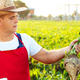 Farmer mit Zuckerrübe