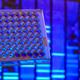 PCR, DNA, Test