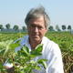 Freilandversuch Wageningen
