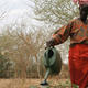 Senegal, Landwirtschaft