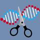 Gen-Schere CRISPR