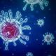 Corona Virus