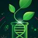 Pflanzenforschung DNA
