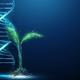 Pflanze mit DNA-Helix