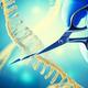 CRISPR schneidet DNA