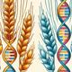 Weizen mit DNA-Helix
