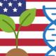 Regulierung gv-Pflanzen in den USA