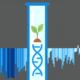 Klimawandel: Was kann die Gen-Schere CRISPR-Cas
