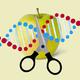 Apfel mit CRISPR/Cas