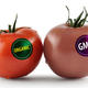 Label Organic GMO