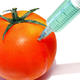 Tomate, Spritze